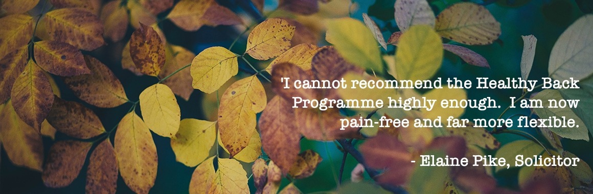 Healthy Back Programme - Elaine Pike, Solicitor quote